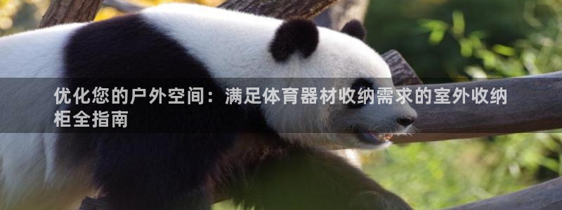 富联娱乐是骗局吗：优化您的户外空间：满足体育器材收纳