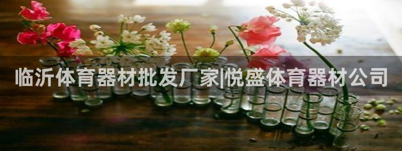 富联娱乐总代理是谁：临沂体育器材批发厂家|悦盛体育器