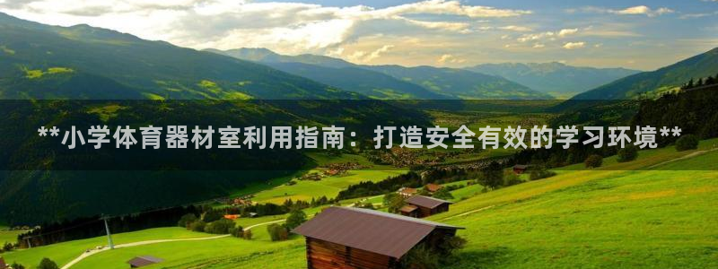 富联平台案7O777：**小学体育器材室利用指南：打