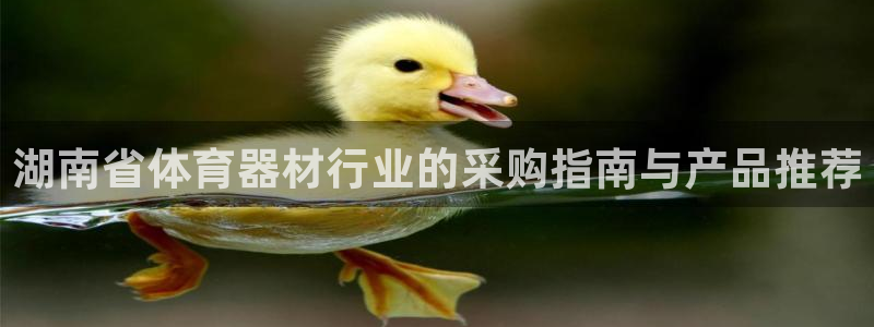 富联官方网站首页入口下载：湖南省体育器材行业的采购指