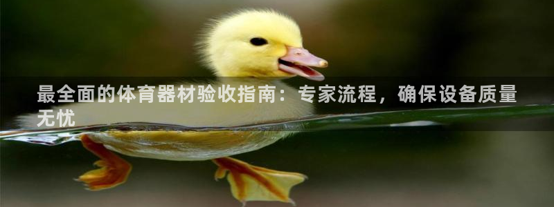 富联娱乐股东：最全面的体育器材验收指南：专家流程，确