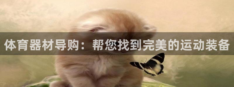 富联平台地址查询：体育器材导购：帮您找到完美的运动装