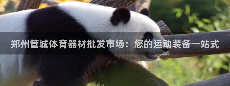 富联娱乐登录地址查询：郑州管城体育器材批发市场：您的