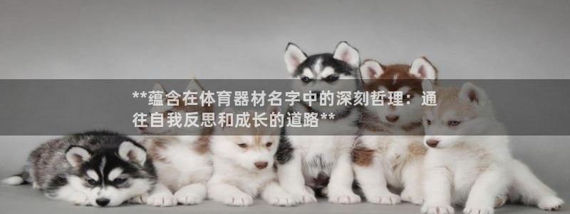 富联平台案7O777：**蕴含在体育器材名字中的深刻