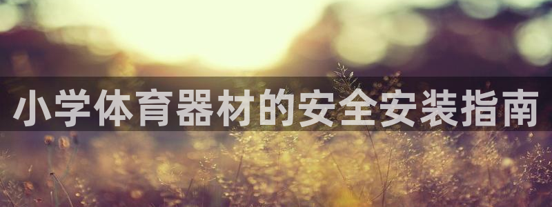 富联官方网站入口网址查询：小学体育器材的安全安装指南