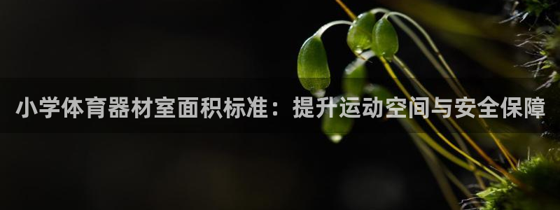 富联平台孩7O777：小学体育器材室面积标准：提升运