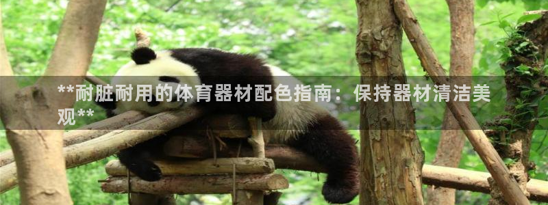 富联娱乐股东：**耐脏耐用的体育器材配色指南：保持器
