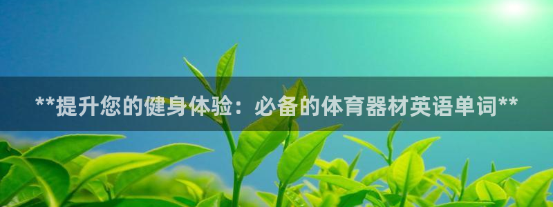 富联集团做什么的：**提升您的健身体验：必备的体育器