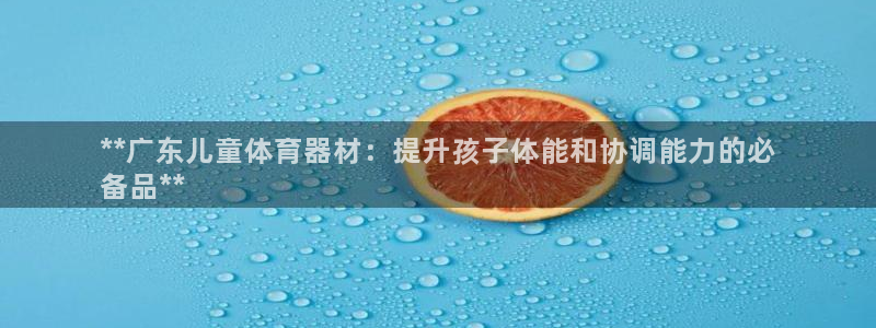 富联平台登入：**广东儿童体育器材：提升孩子体能和协