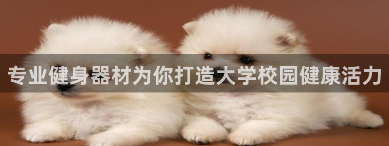 富联娱乐平台怎么样：专业健身器材为你打造大学校园健康