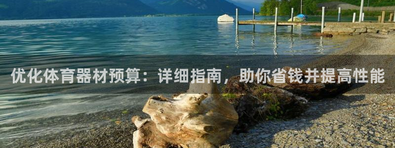 富联平台去 58534I 平台：优化体育器材预算：详