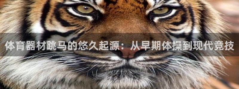 富联物业：体育器材跳马的悠久起源：从早期体操到现代竞