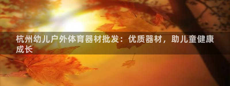 富联平台招商电话：杭州幼儿户外体育器材批发：优质器材