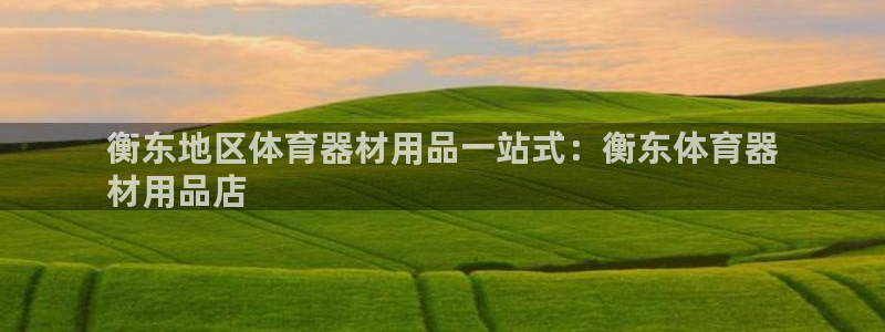 富联娱乐在线注册链接是什么：衡东地区体育器材用品一站