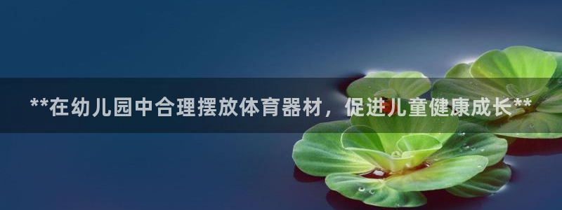 富联集团最新消息：**在幼儿园中合理摆放体育器材，促