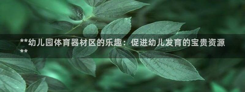 富联娱乐访问：**幼儿园体育器材区的乐趣：促进幼儿发