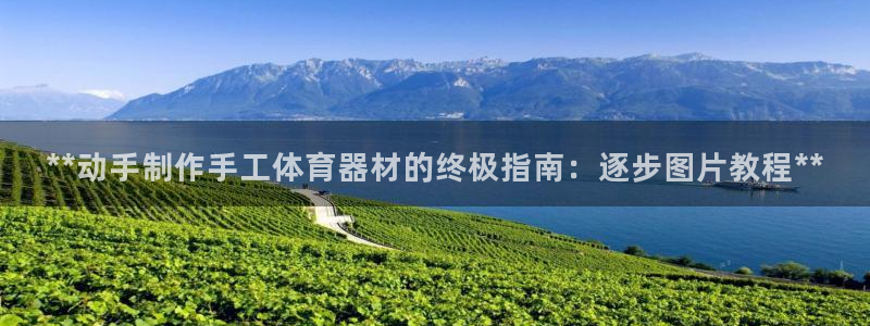 富联娱乐测速地址：**动手制作手工体育器材的终极指南