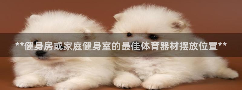 富联娱乐负责人电话：**健身房或家庭健身室的最佳体育
