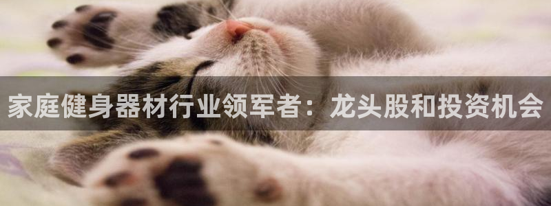 富联娱乐测速登录失败：家庭健身器材行业领军者：龙头股