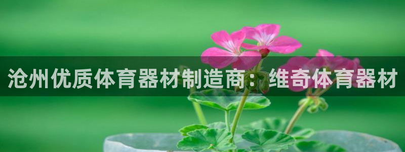 富联平台系 5O6917 富联：沧州优质体育器材制造