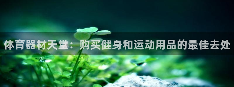 富联官方网站入口：体育器材天堂：购买健身和运动用品的