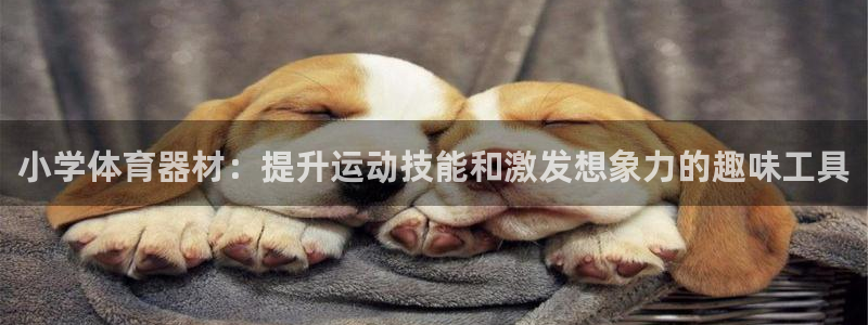 富联娱乐口 411O31 娱乐：小学体育器材：提升运