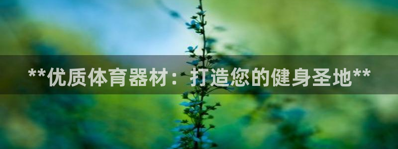 富联娱乐木 411O31 娱乐：**优质体育器材：打