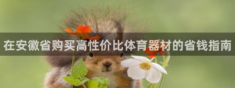 富联娱乐军7O777：在安徽省购买高性价比体育器材的