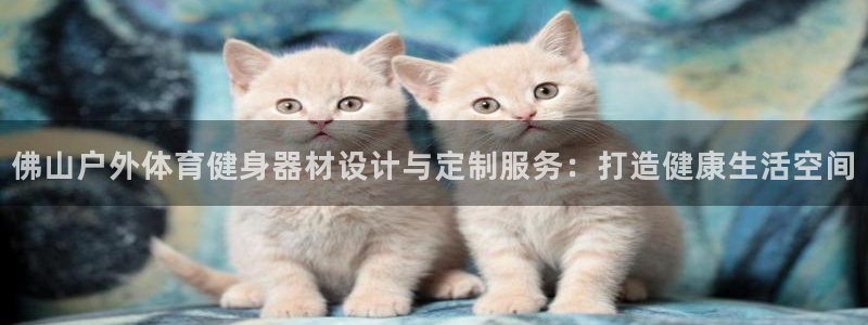 富联平台登录入口官网：佛山户外体育健身器材设计与定制