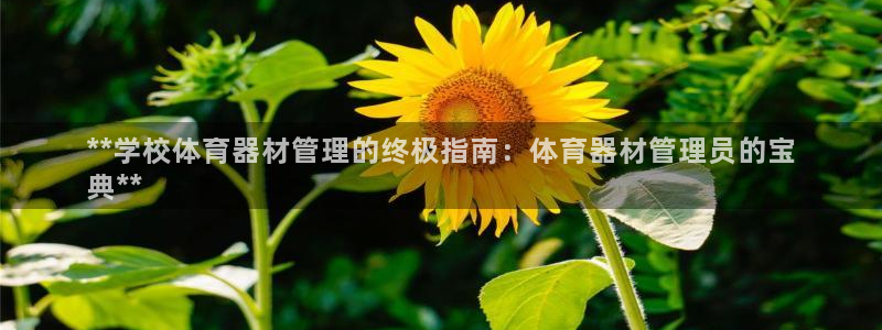 富联平台主管：**学校体育器材管理的终极指南：体育器