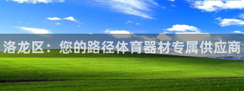 富联娱乐下载官网：洛龙区：您的路径体育器材专属供应商