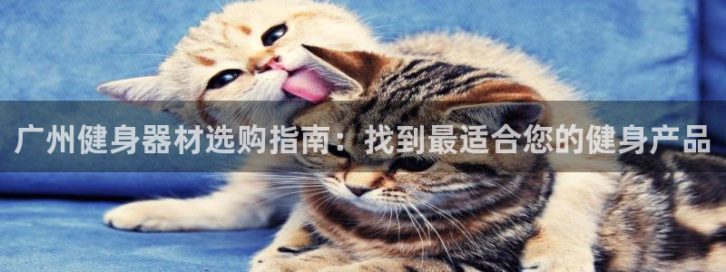 富联平台注册地址在哪里：广州健身器材选购指南：找到最