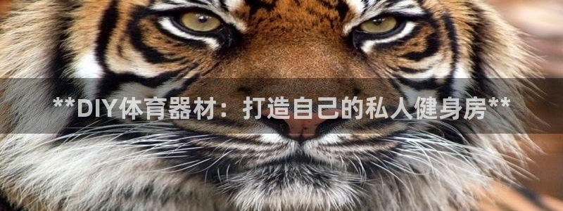 富联娱乐平台怎么样可靠吗：**DIY体育器材：打造自