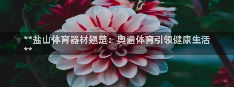 富联娱乐丁6.7.5.1.3.8：**盐山体育器材翘