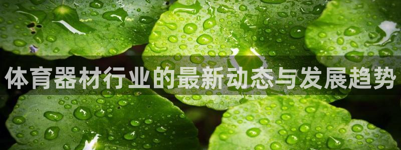 富联公寓：体育器材行业的最新动态与发展趋势