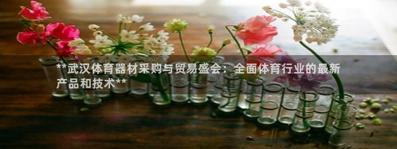 富联娱乐测速登录不了：**武汉体育器材采购与贸易盛会