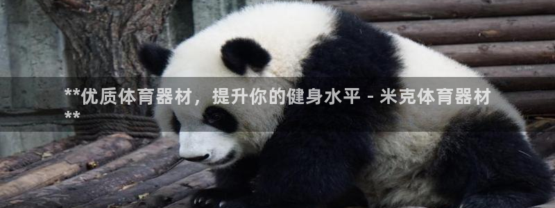 富联超市：**优质体育器材，提升你的健身水平 - 米