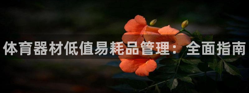 富联平台注册地址在哪里：体育器材低值易耗品管理：全面