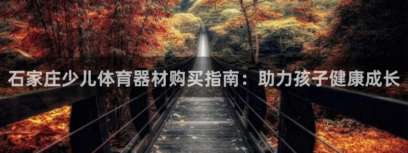 富联平台推 5O6917 富联：石家庄少儿体育器材购