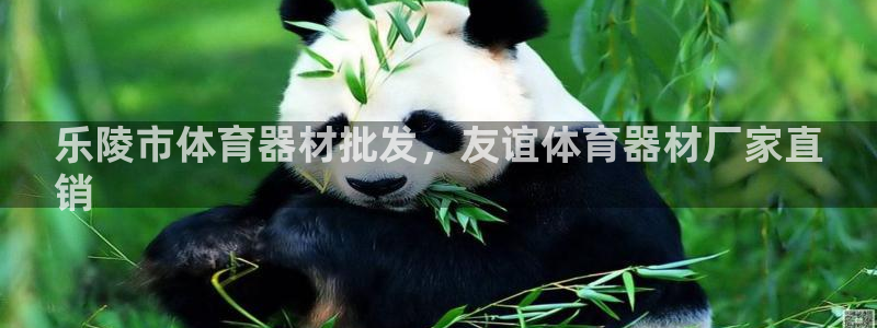 富联小区：乐陵市体育器材批发，友谊体育器材厂家直
销