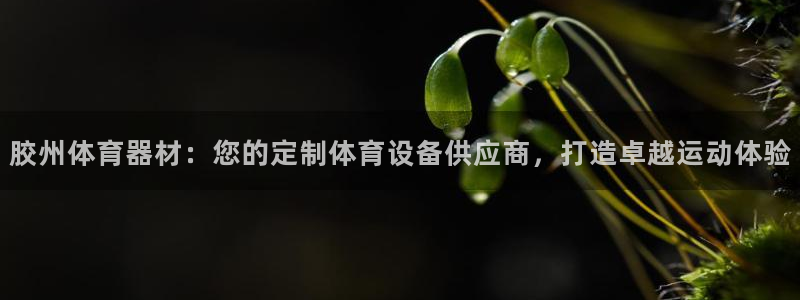 富联平台客 37oo735：胶州体育器材：您的定制体