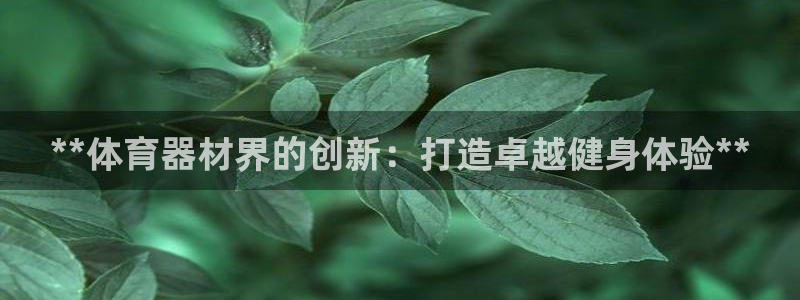 富联娱乐老板叫什么：**体育器材界的创新：打造卓越健