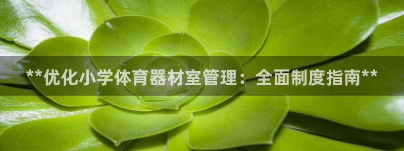 富联娱乐正规吗：**优化小学体育器材室管理：全面制度