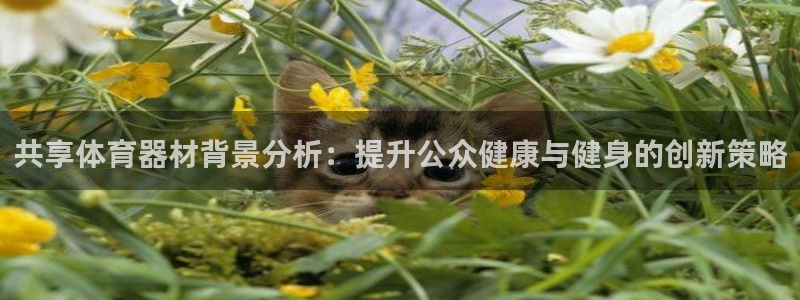 富联娱乐平台是什么：共享体育器材背景分析：提升公众健