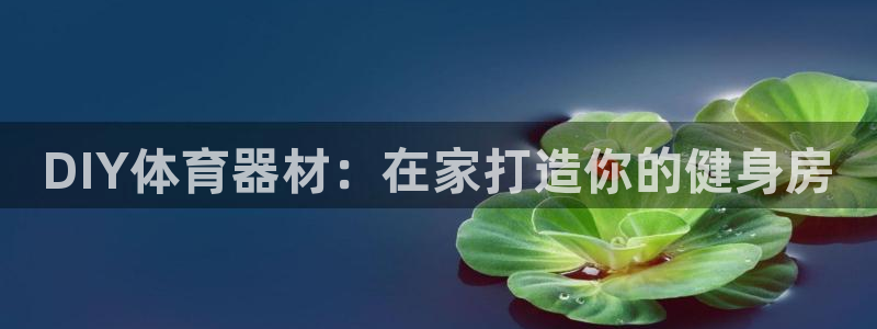 富联平台上级下级是什么意思：DIY体育器材：在家打造