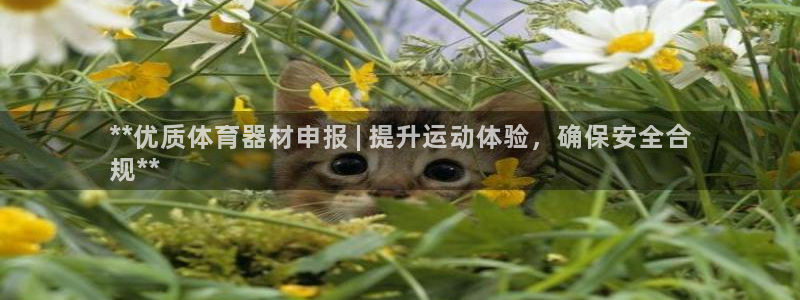 富联平台叩 411O31 富联：**优质体育器材申报