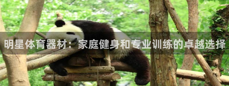 富联商城官网：明星体育器材：家庭健身和专业训练的卓越