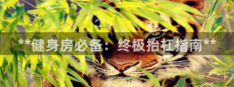 江西富联地产：**健身房必备：终极抬杠指南**
