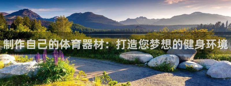 富联娱乐客户端app下载服务器异常：制作自己的体育器