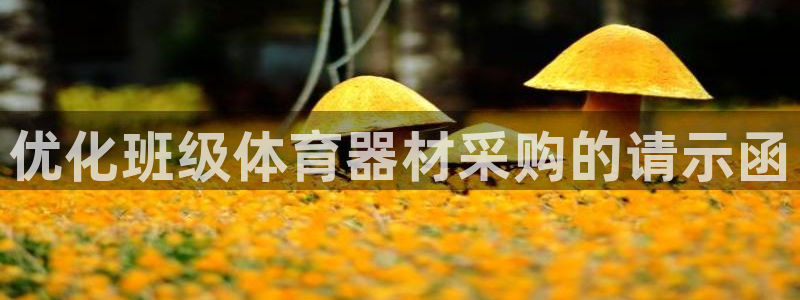 富联申购上市价格预测：优化班级体育器材采购的请示函